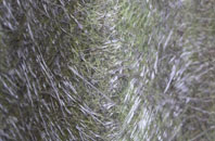 Bornesketaig fibreglass roof work